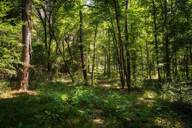 5624 E FM 323, Palestine, TX 75801