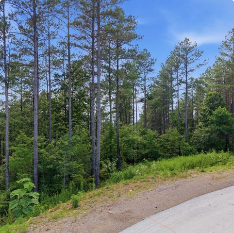 1141 Split Rail Way, Guild, TN 37340