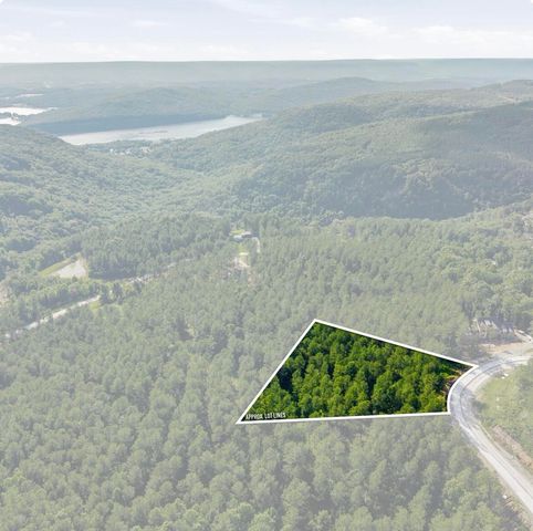 1141 Split Rail Way, Guild, TN 37340
