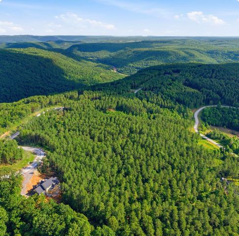 1141 Split Rail Way, Guild, TN 37340