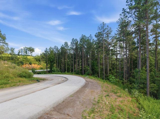 1141 Split Rail Way, Guild, TN 37340
