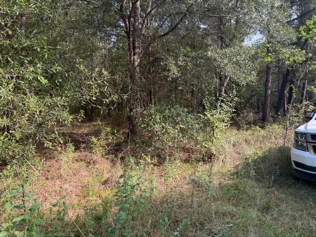 000 Wood Forest, Livingston, TX 77351
