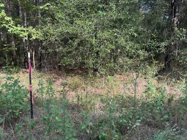 000 Wood Forest, Livingston, TX 77351