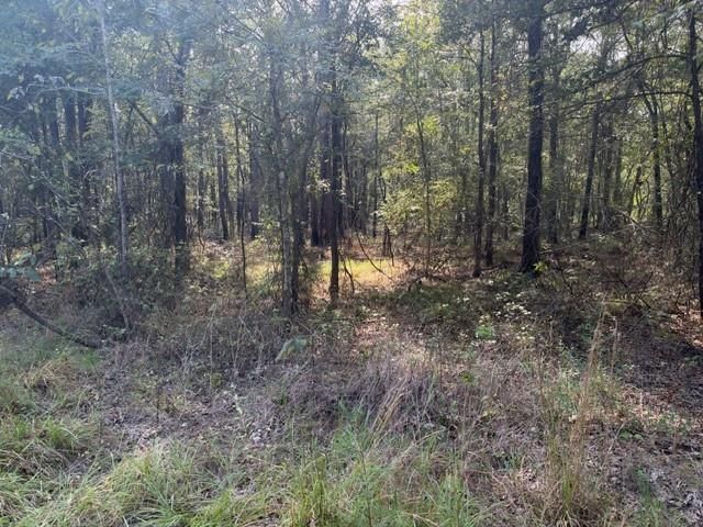 000 Wood Forest, Livingston, TX 77351