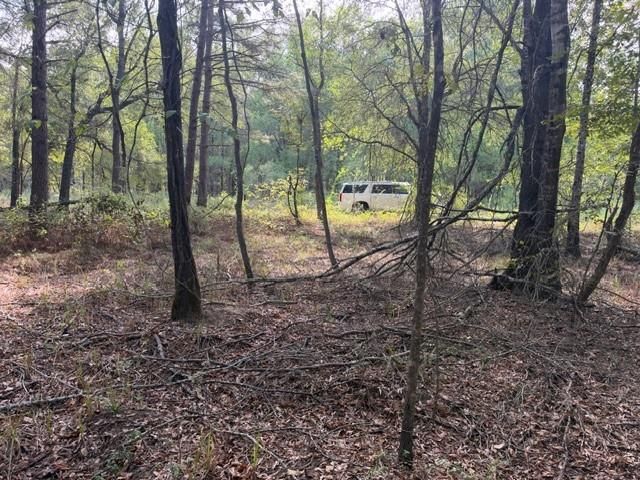 000 Wood Forest, Livingston, TX 77351