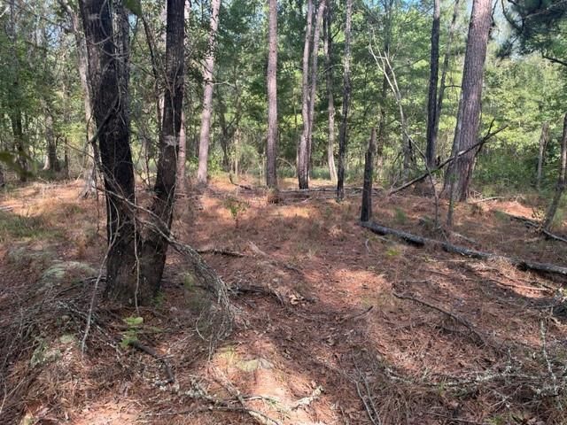 000 Wood Forest, Livingston, TX 77351