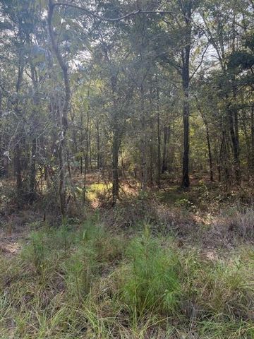 000 Wood Forest, Livingston, TX 77351