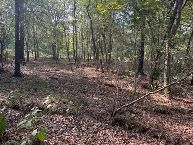 000 Wood Forest, Livingston, TX 77351