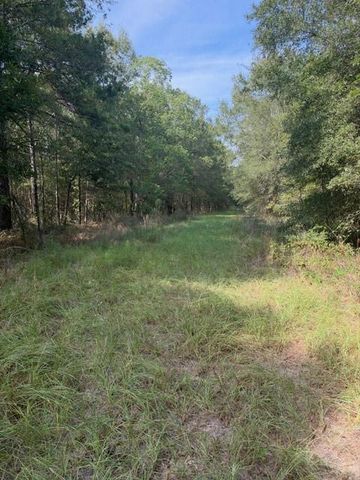 000 Wood Forest, Livingston, TX 77351