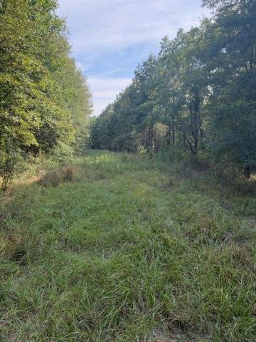 000 Wood Forest, Livingston, TX 77351