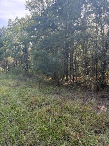 000 Wood Forest, Livingston, TX 77351