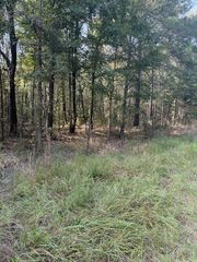 000 Wood Forest, Livingston, TX 77351