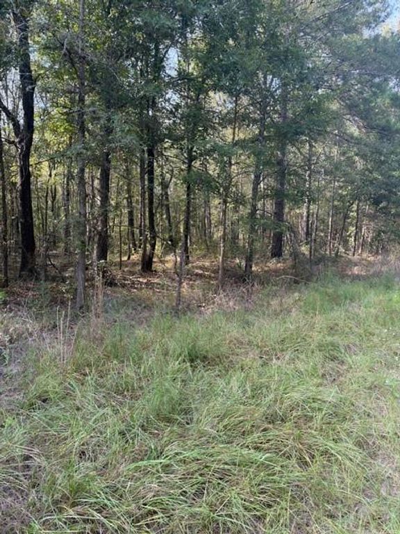 000 Wood Forest, Livingston, TX 77351