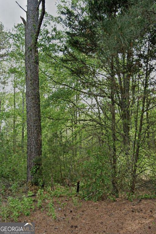 3023 Valley View Drive SW, Powder Springs, GA 30127