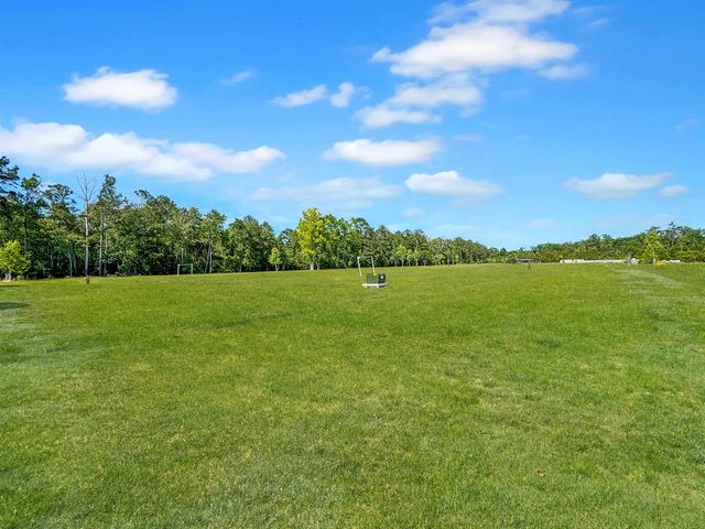 75 Dora Rosas Ln, Tabor City, NC 28463