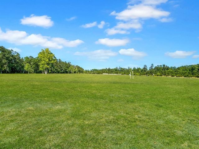 75 Dora Rosas Ln, Tabor City, NC 28463