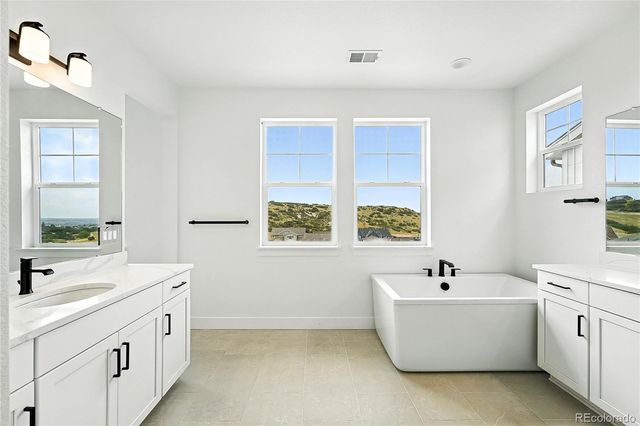 3943 Descent Street, Castle Rock, CO 80108