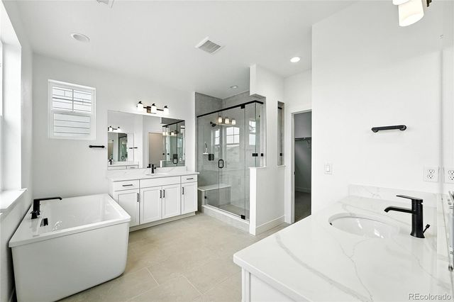 3943 Descent Street, Castle Rock, CO 80108