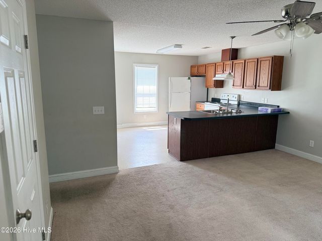 333 Olive Branch Boulevard, Grifton, NC 28530