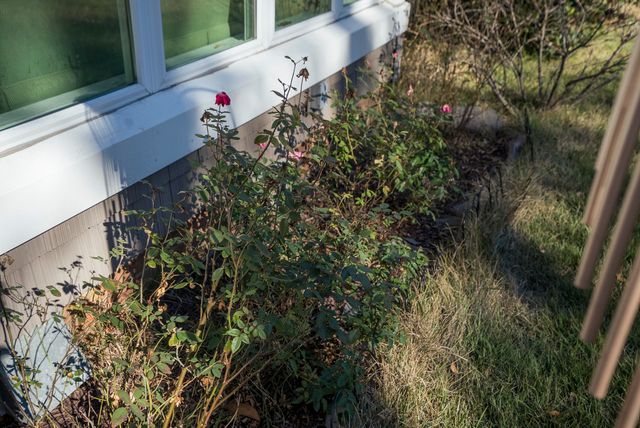 3311 Forest Drive, Aiken, SC 29801