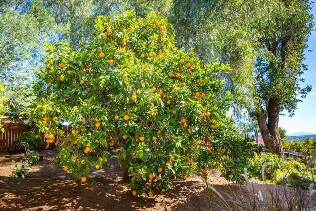 1402 Rimrock Drive, Escondido, CA 92027