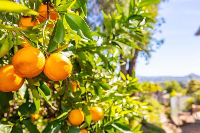 1402 Rimrock Drive, Escondido, CA 92027