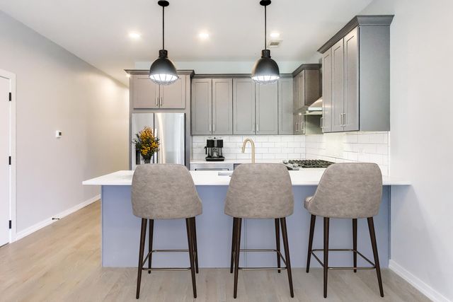 552 E 46th Place 2, Chicago, IL 60653