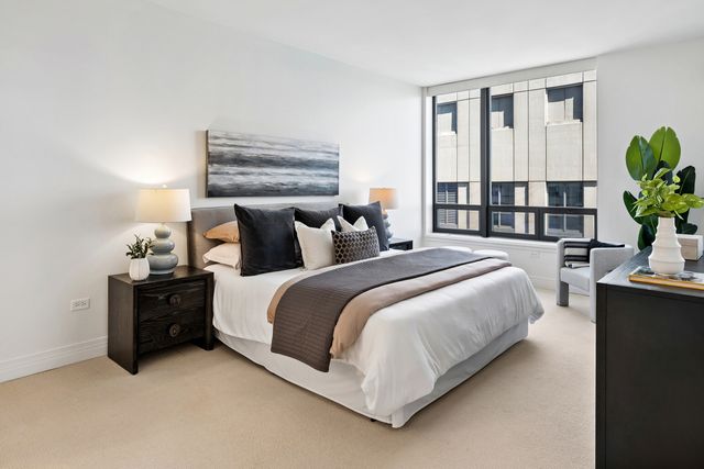 600 N Lake Shore Drive 4211, Chicago, IL 60611