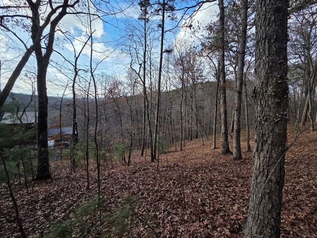 7 Fish Camp Way, Mineral Bluff, GA 30559