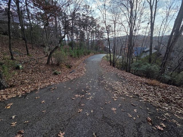 7 Fish Camp Way, Mineral Bluff, GA 30559