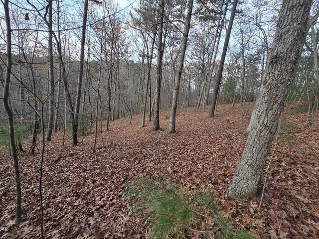 7 Fish Camp Way, Mineral Bluff, GA 30559