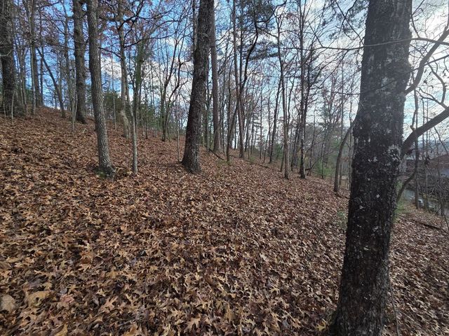 7 Fish Camp Way, Mineral Bluff, GA 30559