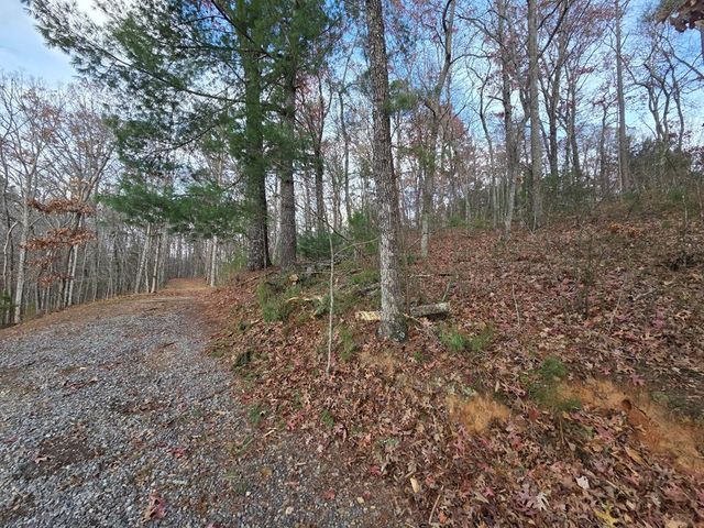 7 Fish Camp Way, Mineral Bluff, GA 30559