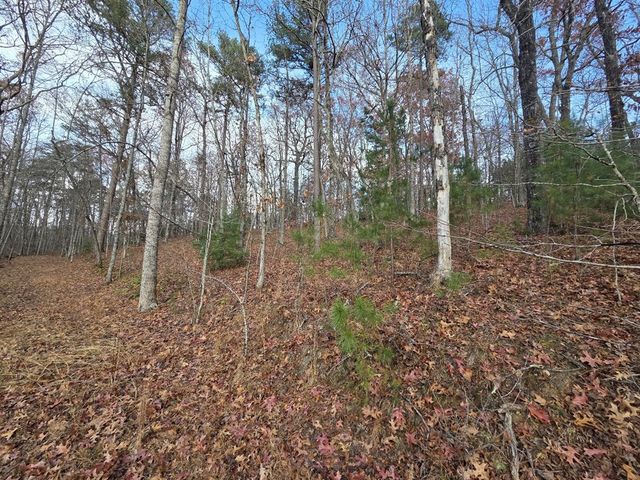 7 Fish Camp Way, Mineral Bluff, GA 30559