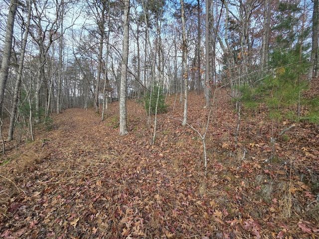 7 Fish Camp Way, Mineral Bluff, GA 30559