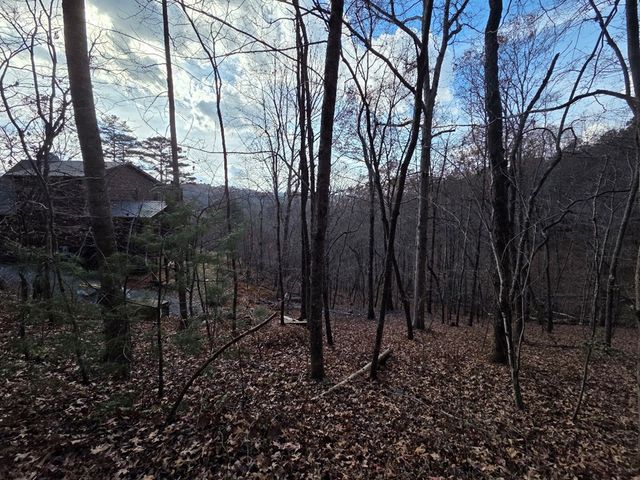 7 Fish Camp Way, Mineral Bluff, GA 30559