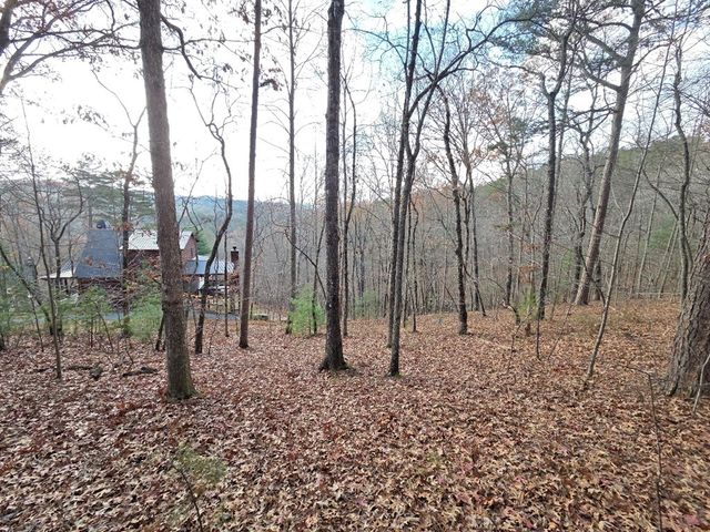 7 Fish Camp Way, Mineral Bluff, GA 30559