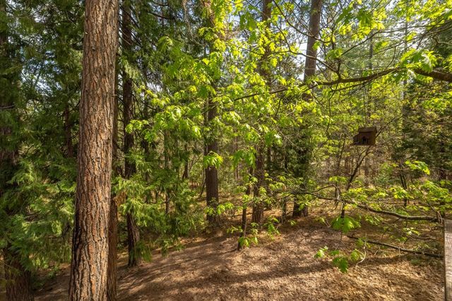 2675 Grenoble Dr, Arnold, CA 95223