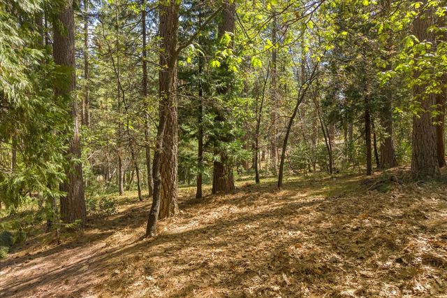 2675 Grenoble Dr, Arnold, CA 95223