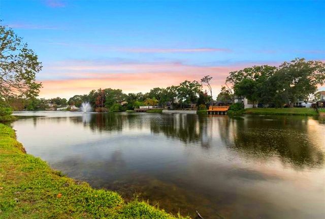 6408 BROOK HOLLOW COURT, Tampa, FL 33634