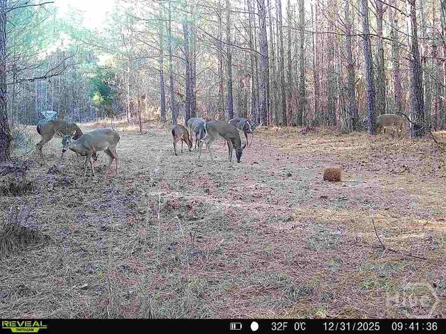 1208 Elberton Road, Lexington, GA 30648
