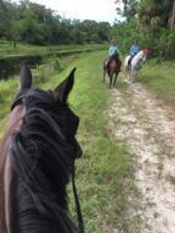 1713 Arabian Drive, Loxahatchee, FL 33470