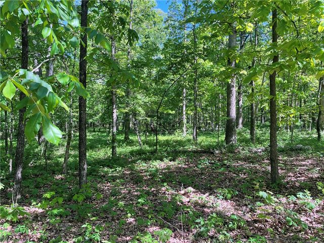 3.16AC S Pleasant Valley Road, Gentry, AR 72734