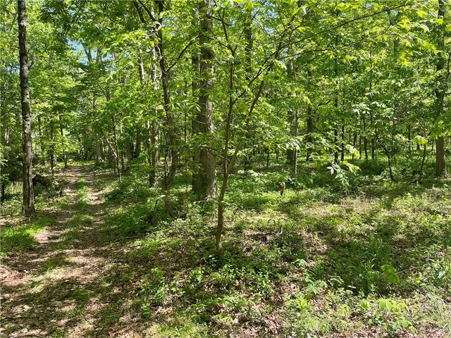 3.16AC S Pleasant Valley Road, Gentry, AR 72734