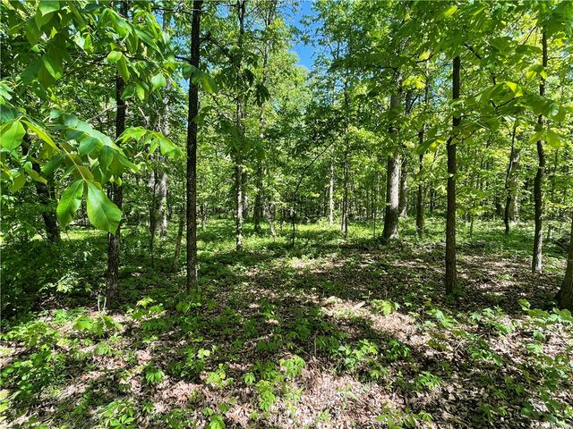 3.16AC S Pleasant Valley Road, Gentry, AR 72734