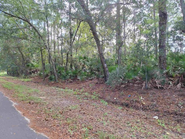 201 Pineway West Ave, Satsuma, FL 32189