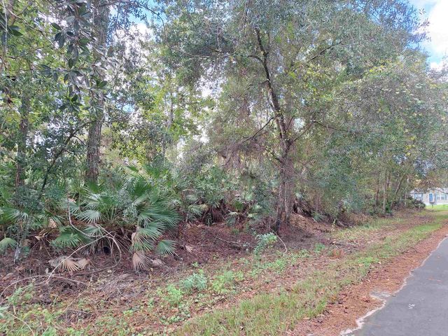 201 Pineway West Ave, Satsuma, FL 32189