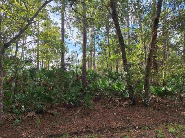 201 Pineway West Ave, Satsuma, FL 32189