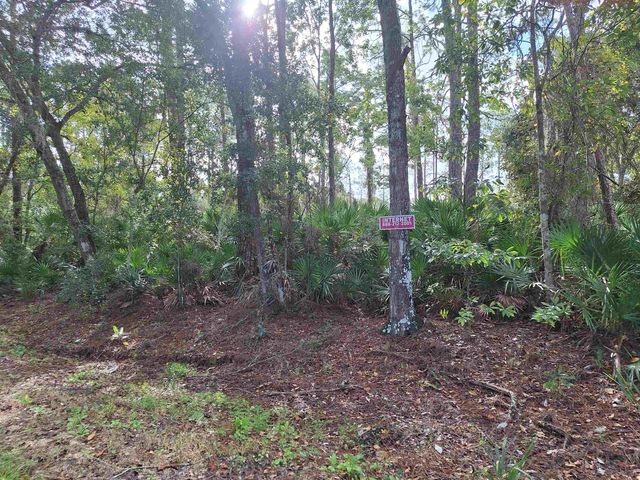 201 Pineway West Ave, Satsuma, FL 32189
