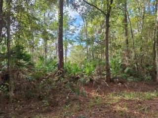 201 Pineway West Ave, Satsuma, FL 32189